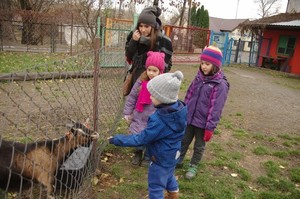 Tęczowe Przedszkole Targówek